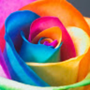 Meet your Posher, Miranda